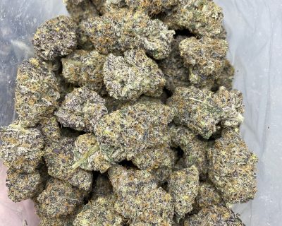 DIABLO GELATO (EXOTIC) - Image 3